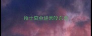 哈士奇会经常咬东西