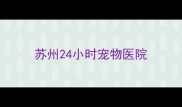 苏州24小时宠物医院