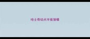 哈士奇幼犬半夜狼嚎