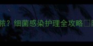 猫咪耳朵红肿流脓细菌感染护理全攻略附正确清洁步骤