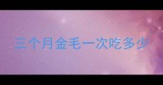 三个月金毛一次吃多少