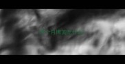 两个月博美吃什么