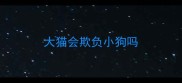 大猫会欺负小狗吗