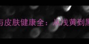拉布拉多犬毛色与皮肤健康全从浅黄到黑色如何科学养护