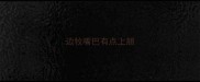边牧嘴巴有点上翘