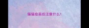 猫猫疫苗后注意什么
