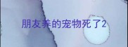朋友养的宠物死了