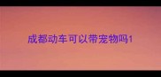 成都动车可以带宠物吗