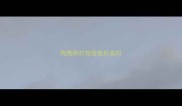 狗狗刚打完疫苗后发抖