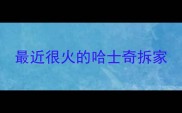 最近很火的哈士奇拆家