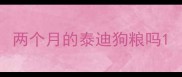 两个月的泰迪狗粮吗