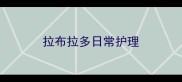 拉布拉多日常护理