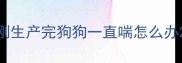 刚生产完狗狗一直喘怎么办