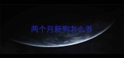 两个月新狗怎么养