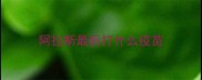 阿拉斯最后打什么疫苗