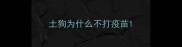 土狗为什么不打疫苗