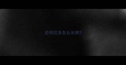 拉布拉多怎么长胖