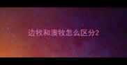 边牧和澳牧怎么区分