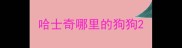 哈士奇哪里的狗狗