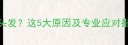 猫咪为什么总爱咬头发这5大原因及专业应对指南附兽医建议