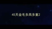45天金毛多高多重
