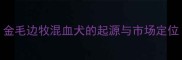 金毛边牧混血犬的起源与市场定位