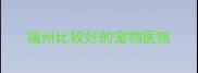 福州比较好的宠物医院