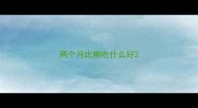 两个月比熊吃什么好