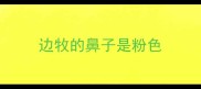 边牧的鼻子是粉色