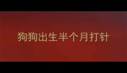 狗狗出生半个月打针