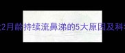 哈士奇幼犬2月龄持续流鼻涕的5大原因及科学应对指南