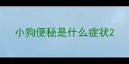 小狗便秘是什么症状