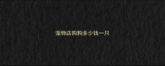 宠物店狗狗多少钱一只