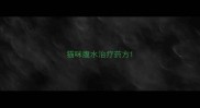 猫咪腹水治疗药方