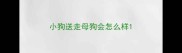 小狗送走母狗会怎么样