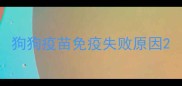 狗狗疫苗免疫失败原因