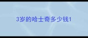 3岁的哈士奇多少钱