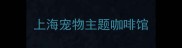上海宠物主题咖啡馆