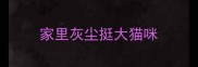 家里灰尘挺大猫咪