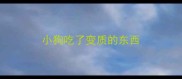 小狗吃了变质的东西