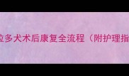 从病危到健康拉布拉多犬术后康复全流程附护理指南与预防复发秘籍