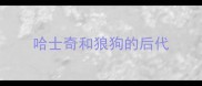 哈士奇和狼狗的后代