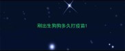 刚出生狗狗多久打疫苗