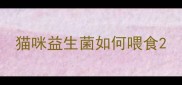 猫咪益生菌如何喂食
