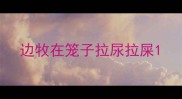 边牧在笼子拉尿拉屎