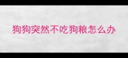 狗狗突然不吃狗粮怎么办