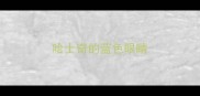 哈士奇的蓝色眼睛