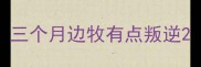 三个月边牧有点叛逆