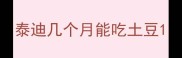 泰迪几个月能吃土豆
