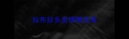 拉布拉多发情期洗澡